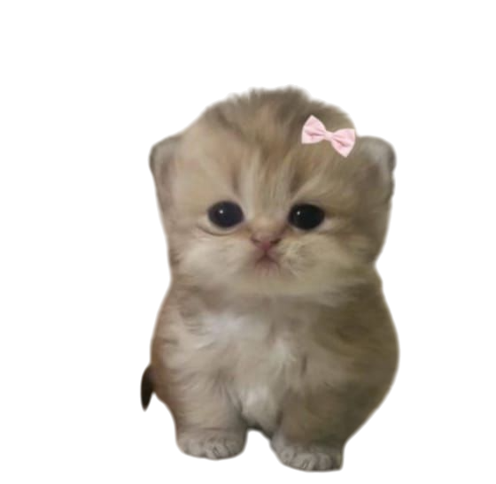 Cute page doll